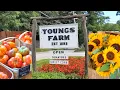 Only 30 Minutes from NYC - 15 Acre Organic Farm