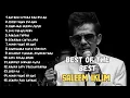Download Lagu Best Saleem Iklim Hits, Koleksi Lagu Terbaik Sepanjang Masa