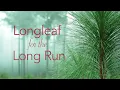 Longleaf for the Longrun