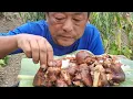 Download Lagu Working hard \u0026Serve meal|Pork trotter in my paddy field|  @khipsvlog3739 