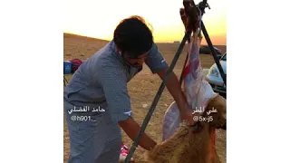 مكشات شمال الاردن حامد الفضلي شيلة زان الطريق بندر الغيثي دندنها