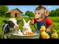 Download Lagu لبيك اللهم لبيك | تكبيرات العشر من ذي الحجة |تكبيرات يوم عرفه-تكبيرات عيد الأضحى🌷💛
