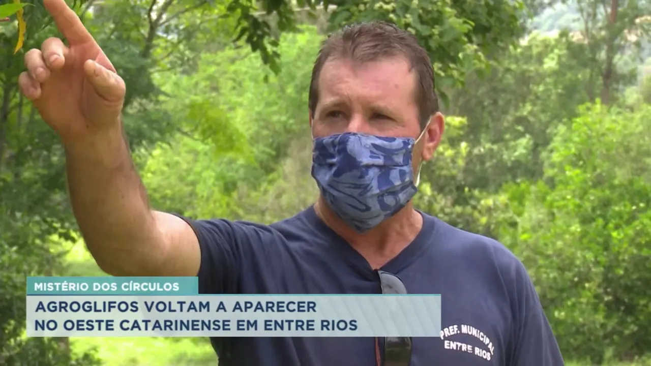 Mistério dos círculos: Agroglifos voltam a aparecer no Oeste Catarinense