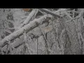 STORM CENTER Southern Maine hit particularly hard by power outages