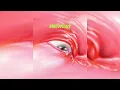 Fontaines D.C. - Starburster (Official Audio)