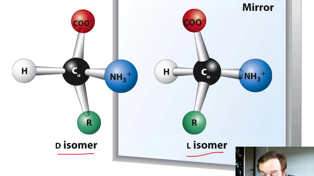 Molecular Biology Chapter 2