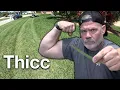 St Augustine Grass Tips How I Get My St Augustine So Thick and Green