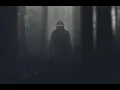 POE 30 Second Guide to the Vaal Flesh Merchant