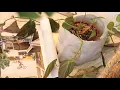 Relax with LeafFully at Eco Organic Nail Boutique