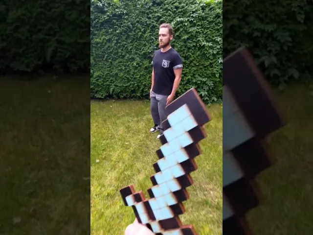 Minecraft be like