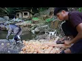 Lagu Full Video: 30 Days of Building a Wood Shop. Living Alone in the jungle with a Baby Goat and a Puppy