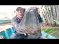 Download Lagu TAK DI RAGUKAN LAGI ‼️ SPOT INI UDANGNYA SANGAT MELIMPAH ‼️ MANCING UDANG GALAH ‼️