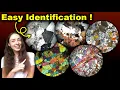 How to Identify Igneous Rocks in Thin Section Hand Sample GEO GIRL