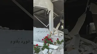 ح ت ى الآن الو رد ي قاو م  ح ت ى الآن الو رد ي قاو م