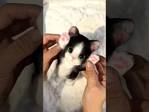 China Made the Weirdest Cat Toy 😳