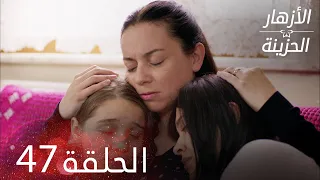 الأزهار الحزينة الحلقة 47 كاملة Kırgın Çiçekler 