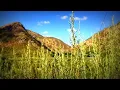 Jota Karloza - OM (Flute Edit)