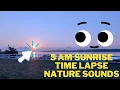 Sunrise Time Lapse with Nature Bird Chirping Sound New Jersey NJ Beach Park - Find Mindfulness