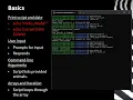 Real-World Bash Scripting Challenges with Big Five Animals