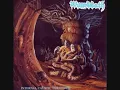 Wombbath - Prevent Anemia
