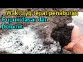 Lagu Cara dan waktu yg tepat penaburan pupuk dasar dan dolomit pada lahan agar hasil maksimal