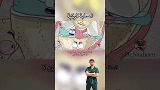 إصابة الركبة   دندنها