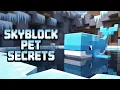 ULTIMATE beginner Pet guide Hypixel Skyblock