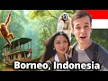 Download Lagu 3 dagen in Orang-oetanland – onze RAW Borneo Jungle Cruise!