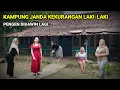 Download Lagu KAMPUNG JANDA KEKURANGAN LAKI-LAKI DI DESA TERPENCIL PEDALAMAN JAWA TENGAH