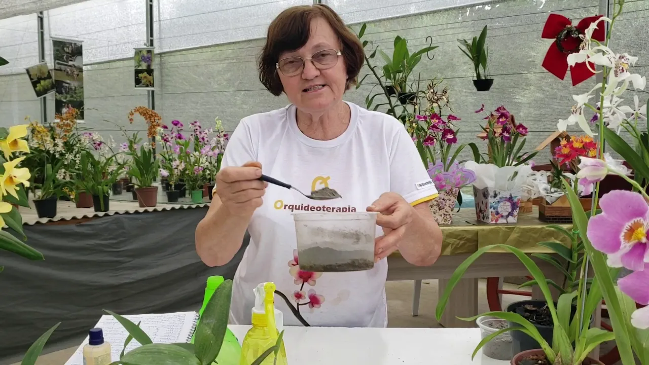 RECEITA DE ADUBO CASEIRO PARA ORQUÍDEAS POR TERESINHA KUNZ