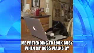 Pretending to Do Work in Thank GIF It s Friday