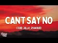 Colbie Caillat, Ryan Hurd - Can’t Say No (Lyrics)
