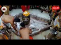 Download Lagu 🔴Live Darshan - Shree Mahakaleshwar Temple Ujjain (महाकालेश्वर मंदिर के लाइव दर्शन) ! #savan
