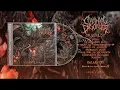 Download Lagu Cranial Disorder \