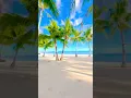 Download Lagu Panglao Island, Bohol, Philippines 🇵🇭