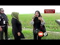 Download Lagu SALAHMU SENDIRI [NEW PUTRA MUDA] Show Kp. Kepuh Desa Kertamulya Kec. Pedes - Karawang