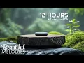 Relaxing Spa Music Therapy for Stress Relief Spa Music Relaxation Therapy Meditation Music no ads