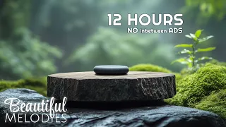 Relaxing Spa Music Therapy for Stress Relief Spa Music Relaxation Therapy Meditation Music no ads