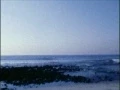 Malibu Classic Pro Surfing Contest 1981