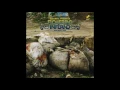 Quantic Presenta Flowering Inferno feat. Nidia Góngora - Cumbia sobre el mar