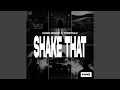 Download Lagu Shake That