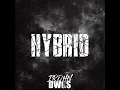 Hybrid