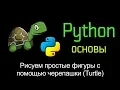 15 Draw Simple Shapes with Turtle Python Basics