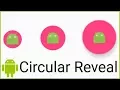 Circular Reveal Animation - Android Studio Tutorial