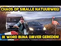 Lagu CHAOS OP SMALLE NATUURWEG! IK WORD BIJNA OMVER GEREDEN! #351