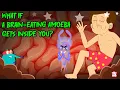 Download Lagu What Really Happens If a Brain-Eating Amoeba Gets Inside You? | Naegleria Fowleri | Dr. Binocs Show