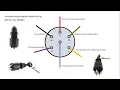 Evinrude-Johnson BRP Ignition Switch Wiring and Replacement