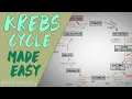 KREBS CYCLE MADE EASY - Krebs cycle Simple Animation Carbohydrate Metabolism Lesson