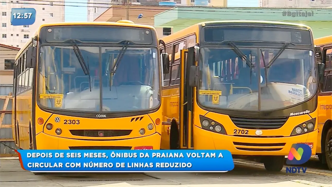 Depois de seis meses ônibus da Praiana voltam a circular na região com numero de linhas reduzidas