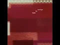 Nachtigall - VAPA